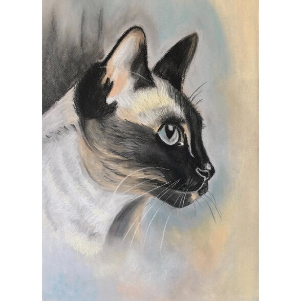 Siamese cat - dry pastel